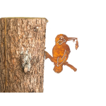 ijsvogel met schroefdraad